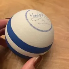 ホグッシー 筋膜リリースボール ユミコアボディ　トリガーポイント　ほぐし