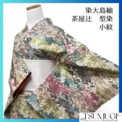 小紋　染大島紬　型染　道長取り　菊　梅　竹　楓　着物　015a d