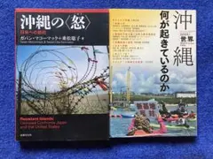 ①沖縄の〈怒〉 : 日米への抵抗　②世界　沖縄