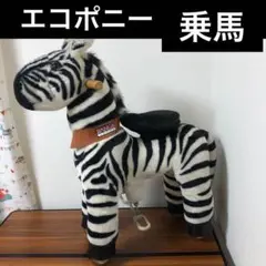 ラングスジャパン エコポニー しまうま RANGS JAPAN 乗馬