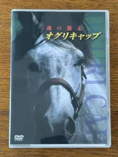オグリキャップ　魂の激走　DVD　セル盤