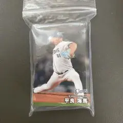 2025プロ野球チップス カード　49枚まとめ売り　被りあり
