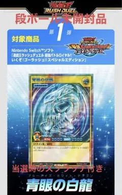 ブラック・マジシャンシークレットレア SPECIAL BLUE Ver. 未開封)ブラックマジシャン(当選通知書付き、ダンボール付き