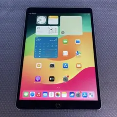 171 電池良好☆iPad Pro 256GB 10.5インチ SIMフリー☆