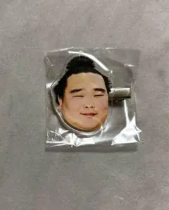 大相撲 白熊 ヘアピン