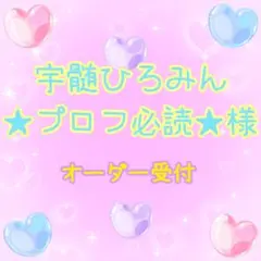 宇髄ひろみん ★プロフ必読 ★様 オーダー専用ページ✩.*˚