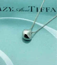 Tiffany&Co. ティファニー ナゲット シルバー ネックレス