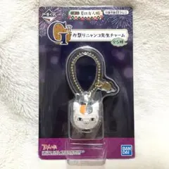 提灯 一番くじ 夏目友人帳 ニャンコ先生 G賞お祭りニャンコ先生チャーム