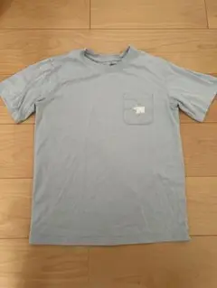 無印良品 水色 Tシャツ シロクマ 150サイズ
