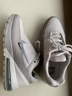 Nike Air Max エアマックス ホワイト/グレー スニーカー