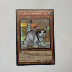 レスキューキャット　絵違い　シークレットレア