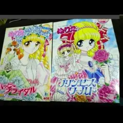 ラスト　ハッピーブライダル ・プリンセスワールド　ぬりえ　 2冊セット