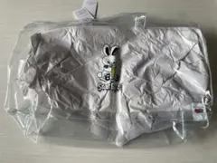 Item thumbnail for item 2dc88945-ae18-4339-85c0-ebb2df141e17