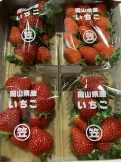 岡山県産‼️いちご‼️4種食べ比べ‼️1キロ‼️希少種^ ^