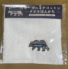 Item thumbnail for item e6b44dee-a4d7-4d4b-9efb-034a4d9a03b5