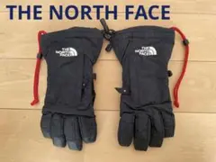 THE NORTH FACE アルタスノーグローブ NN86112
