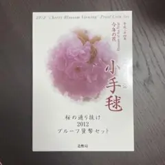 【極美品】桜の通り抜け　2012プルーフコインセット