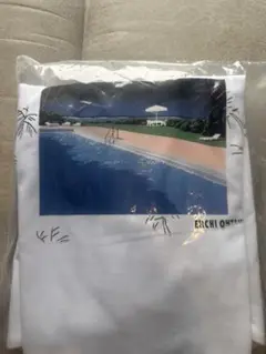 永井博　大瀧詠一　Tシャツ　ALONGVACATION