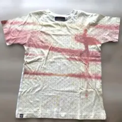 catimini キッズ オリジナルロゴ Tシャツ140