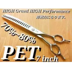 Item thumbnail for item 3daee1d9-07b9-46f9-978d-8e6ea83915ad
