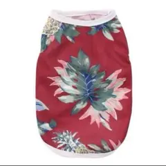 Item thumbnail for item 870e411d-7f62-46dd-8a75-f45b2c2318e8