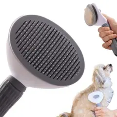 Item thumbnail for item 47c3d9f9-2517-45ac-aa18-cdb0b73a238f