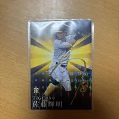 2023年 佐藤輝明 STAR CARD Tigers 8