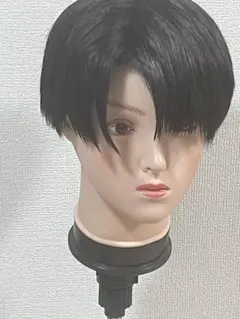 進撃の巨人 リヴァイ コスプレウィッグ