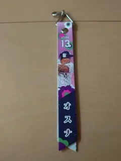東京ヤクルトスワローズ　オスナ選手　レディースディ　ボンフィン