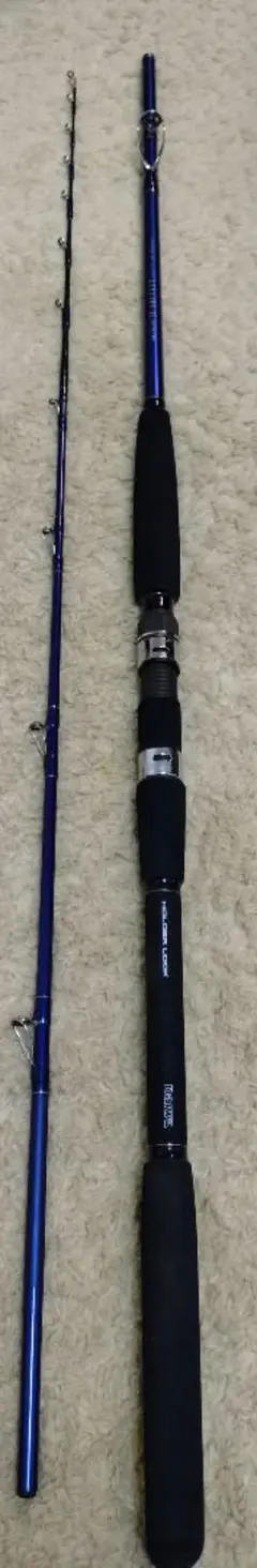 釣竿 ダイワ リーディングXL ヤリイカ 195 LEADING-XL /規2