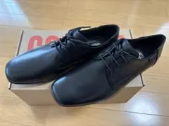クリアファイル　カンペール　マウロ cf2458-01_1.jpg