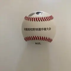 107回全国高校野球選手権大会公式ボール 未開封試合球