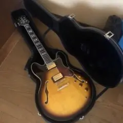 2025年最新】epiphone sheraton ii proの人気アイテム - メルカリ