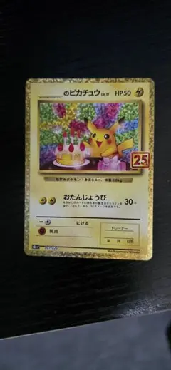 ぺぇさん専用