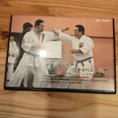 山城美智トマリテセミナー ナイハンチ入門 DVD