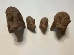 イノシシ親子
