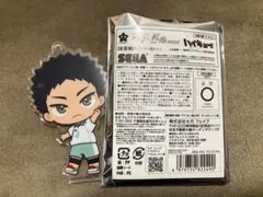 ハイキュー!! アク×ドールmini 岩泉一