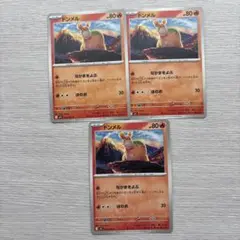 ドンメル トレーディングカード 3枚セット