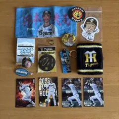 近本光司　阪神タイガース バラエティグッズセット ⭐︎新品未使用品がほぼ⭐︎