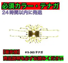イマカツ ダンベルクラブ テナガ