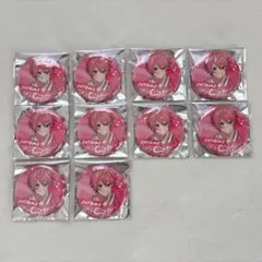 すとぷり さとみくん 缶バッジ 10個 ふぁんみ 2023 夏