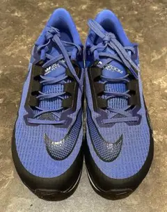 Nike ブルー ランニングシューズ／ct2405 400 サイズ27㎝
