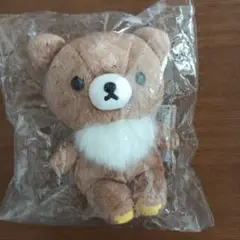 チャイロイコグマ ぬいぐるみ