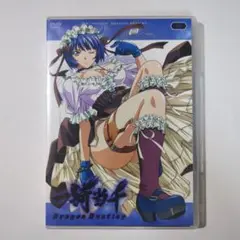 一騎当千 Dragon Destiny 第弐巻