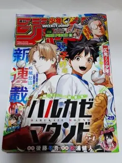 週刊少年ジャンプ 2025年 第29号