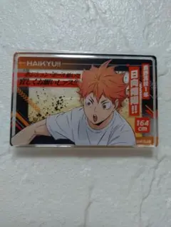 ハイキュー！！　日向翔陽　２点セット