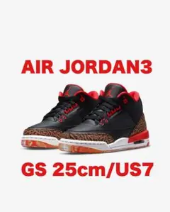ラスト在庫! 25cm/US7y エアジョーダン3 GS 新品 JORDAN