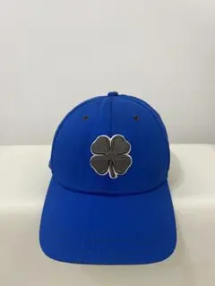 Item thumbnail for item 11462d53-131b-447f-b6bb-7c16f5f94b47