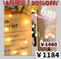 【新品未使用】夏物セール中 LED 6m電飾 キャンプ アウトドア