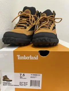 Item thumbnail for item 84da14d7-be51-4830-b4de-f3fc96f99ed7